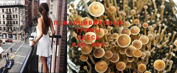 амф Алзамай