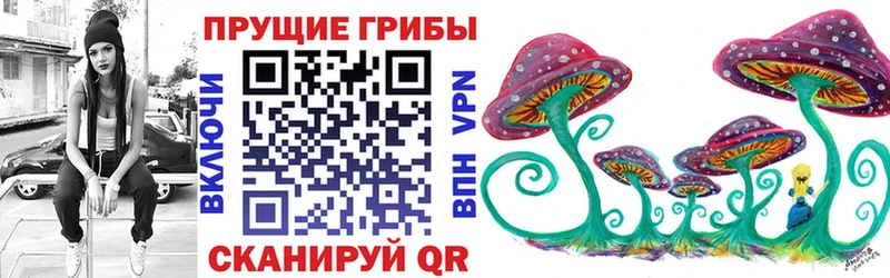 купить наркотики цена  Белая Калитва  Галлюциногенные грибы мицелий 